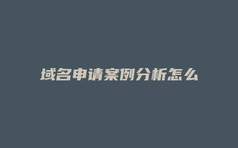 域名申请案例分析怎么写