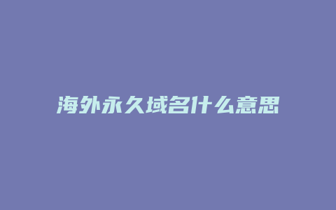 海外永久域名什么意思