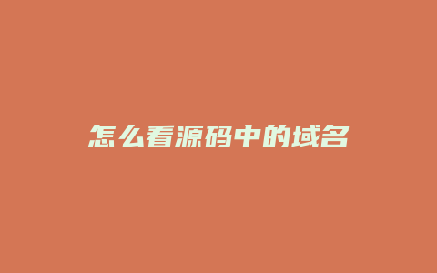 怎么看源码中的域名