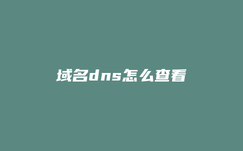 域名dns怎么查看