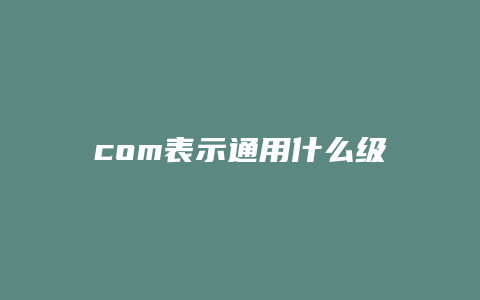 com表示通用什么级域名