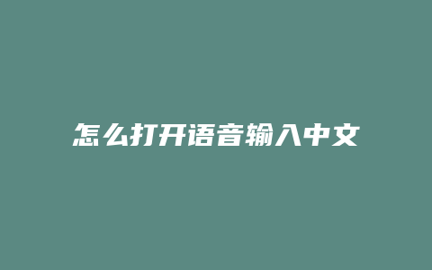 怎么打开语音输入中文域名