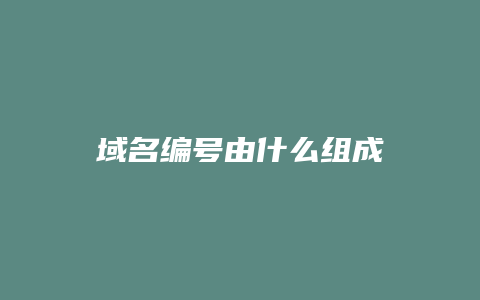 域名编号由什么组成