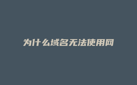 为什么域名无法使用网络