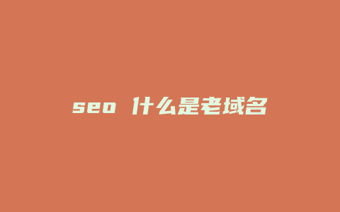 seo 什么是老域名