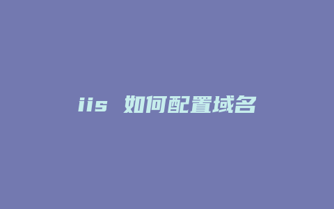 iis 如何配置域名