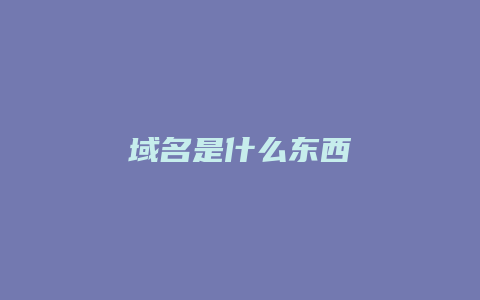 域名是什么东西