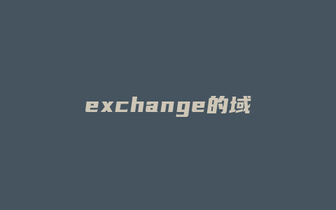 exchange的域名是什么