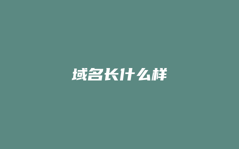 域名长什么样