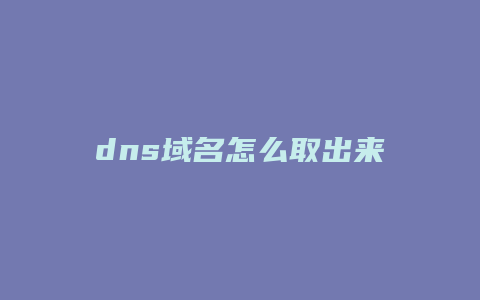 dns域名怎么取出来