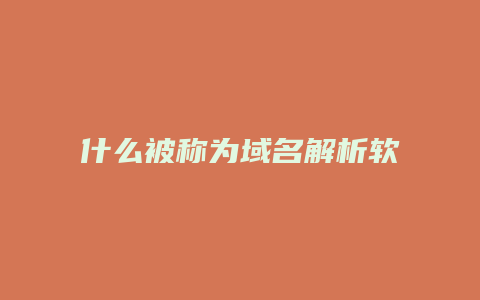 什么被称为域名解析软件