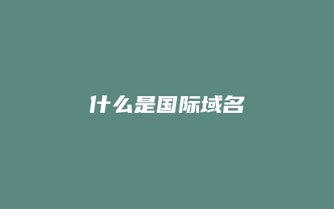 什么是国际域名