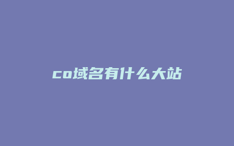 co域名有什么大站