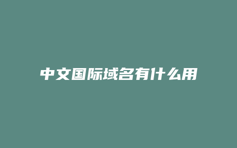 中文国际域名有什么用